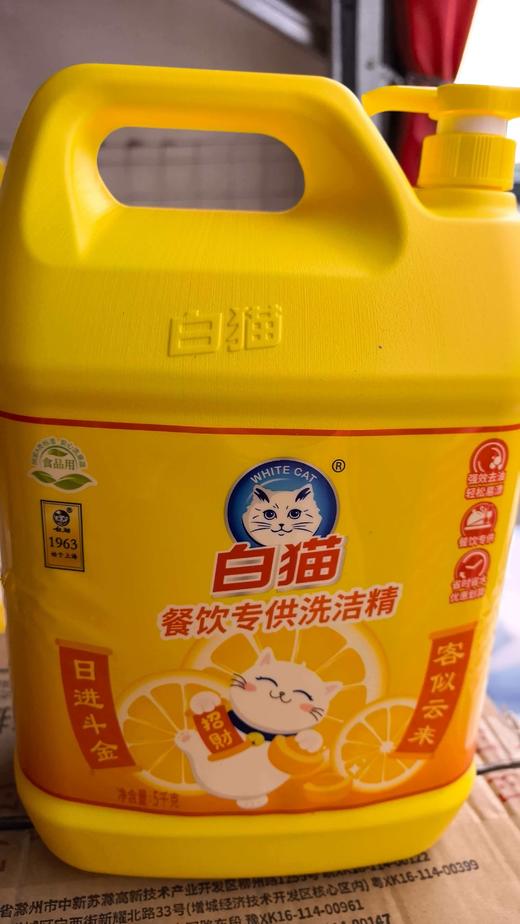 【YC】白猫洗洁精5kg 商品图1