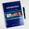 皮肤病临床精要 商品缩略图2