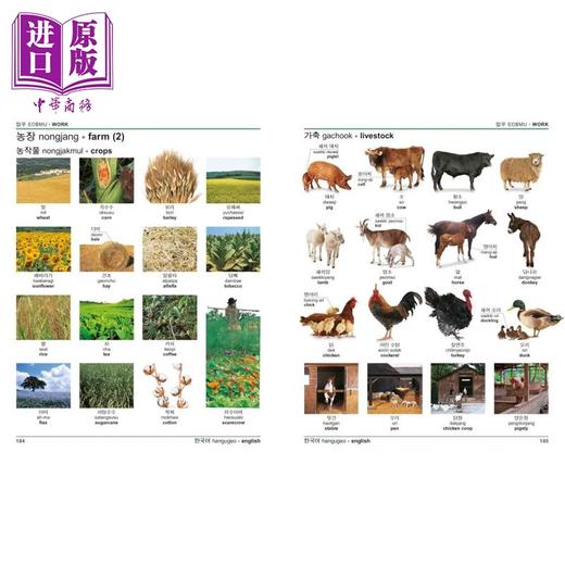 【中商原版】Korean English Bilingual Visual Dictionary 2025年新版DK双语图解词典 韩语-英语 韩文英文原版字典 语言学习 商品图4