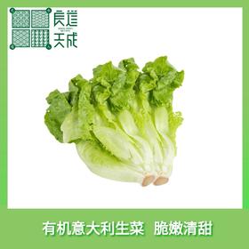 有机意大利生菜