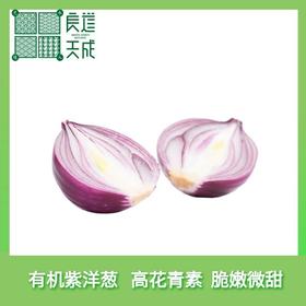 良道天成   有机洋葱   初夏的甜辣   一口上头