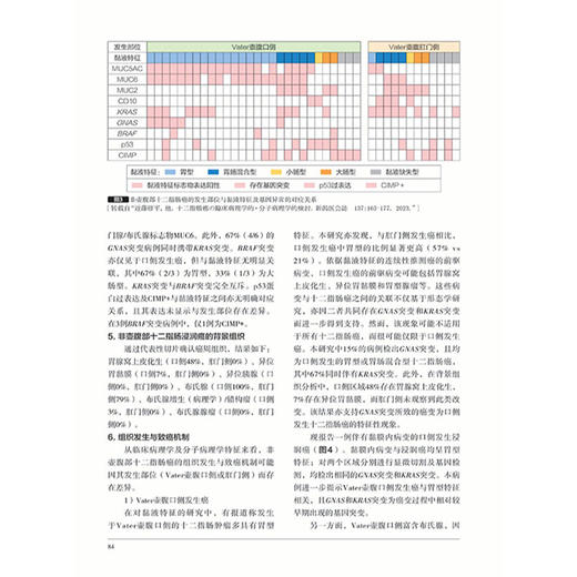 胃与肠 2026年第四期 非壶腹部十二指肠浸润癌的临床病理特征 日本 胃与肠 编委会 编著 9787559146434 辽宁科学技术出版社 商品图4