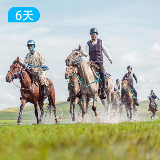呼伦贝尔草原马背旅行 | 6天5晚深度野骑 商品图1