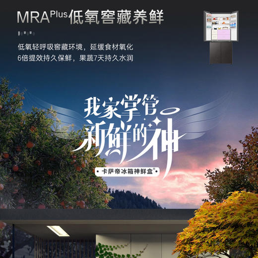 卡萨帝（Casarte）冰箱 BCD-551WGCTDMGCJU1 商品图5