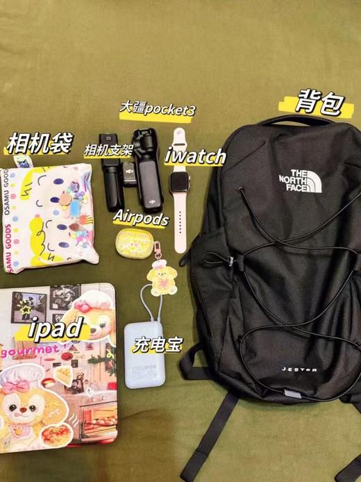 特价出！TNF新款Jester 28L户外双肩包！ 商品图4