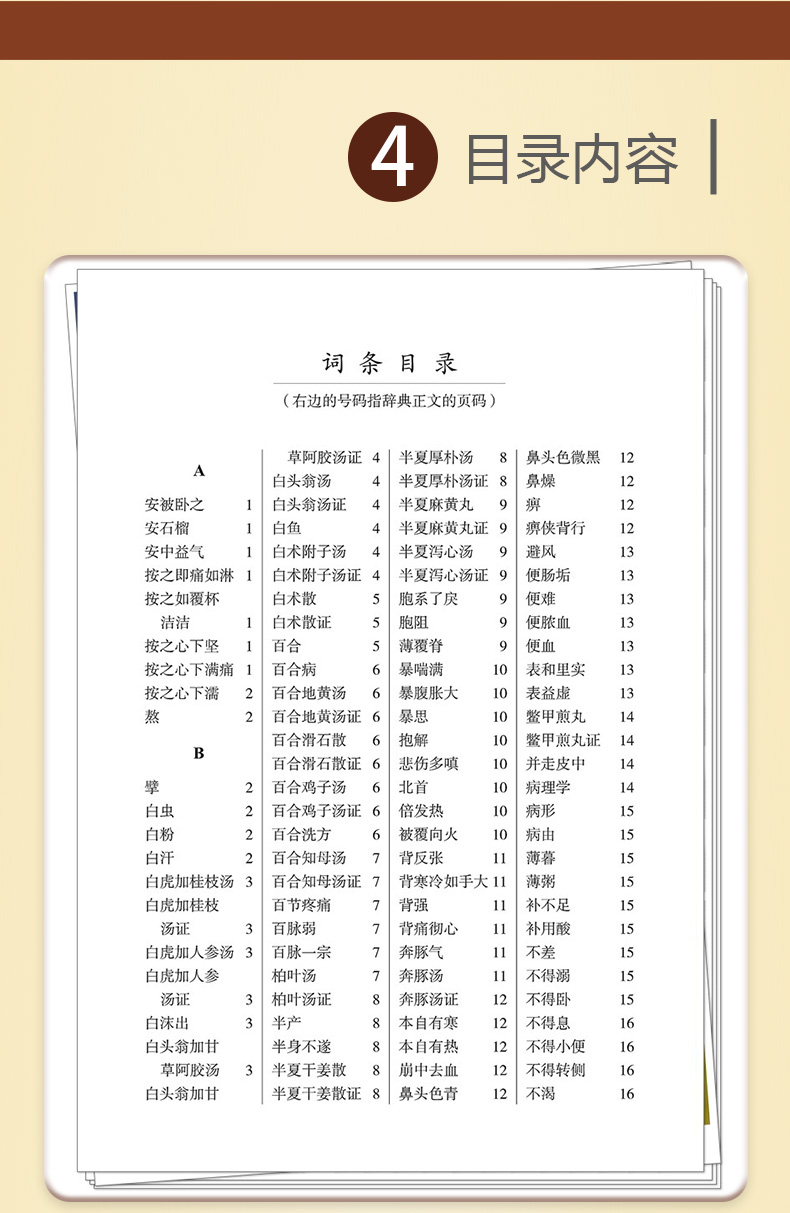 中医棕黄-1_06.jpg