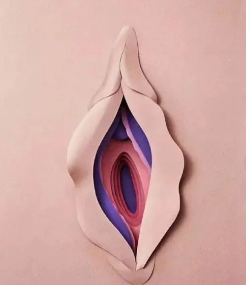 我的身体会说话
