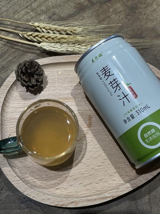 有机麦芽汁310ml/罐*12罐/箱（发酵型 富含氨基酸）| 福建 商品图0