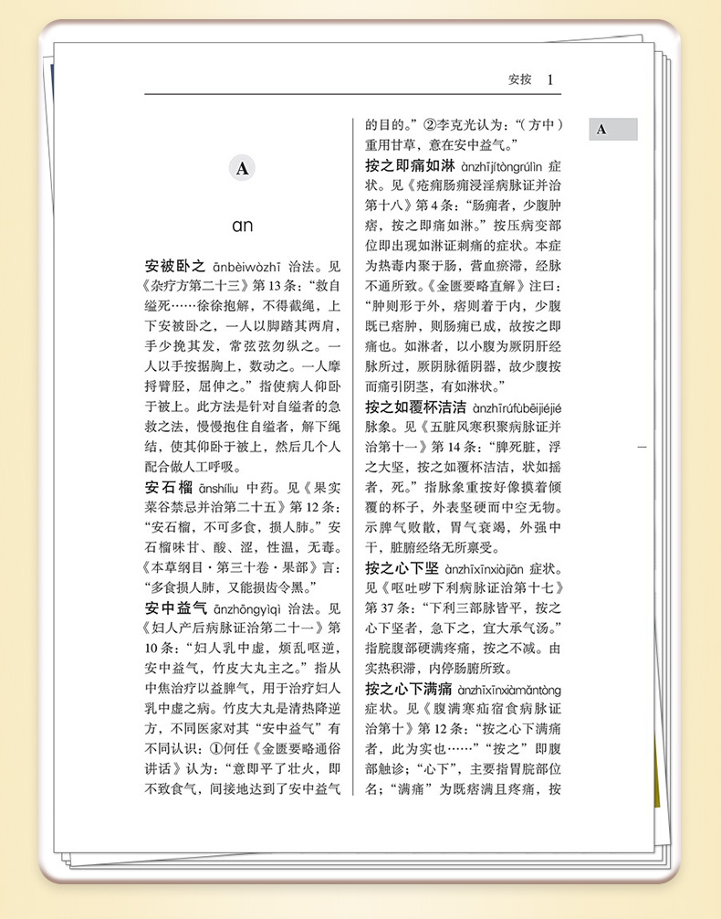 中医棕黄-1_08.jpg