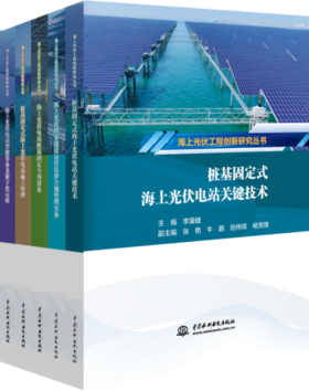 海上光伏工程创新研究丛书（套装）