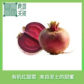 良道 有机红甜菜  来自泥土的甜蜜  大地的本味