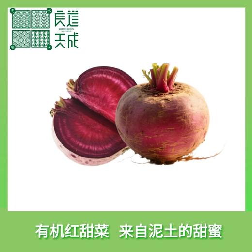 良道 有机红甜菜  来自泥土的甜蜜  大地的本味 商品图0