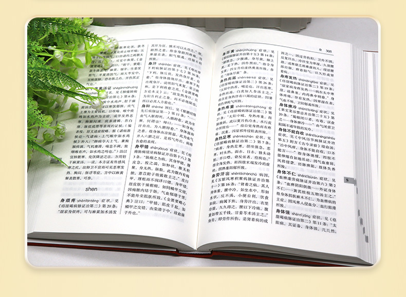中医棕黄-1_05.jpg
