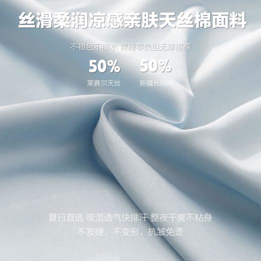热卖中！Ultra Plant FREYA天丝棉贡缎四件套 商品图1