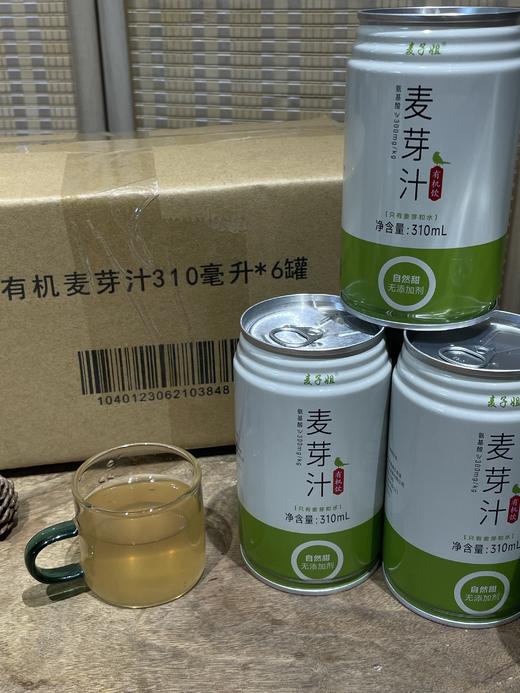 有机麦芽汁310ml/罐*12罐/箱（发酵型 富含氨基酸）| 福建 商品图5