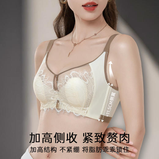 D2-【B-C杯】【性感纯欲蕾丝内衣】夏季薄款透气聚拢防下垂收副乳美背文胸罩  无琊锦瑟 /丝薄媚影 商品图5