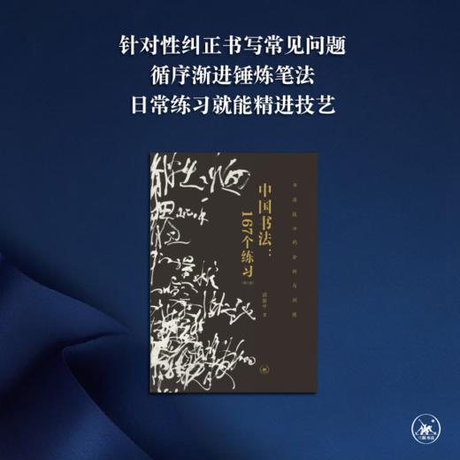 中国书法 167个练习 书法技法的分析与训练 增订版 邱振中 著 商品图1