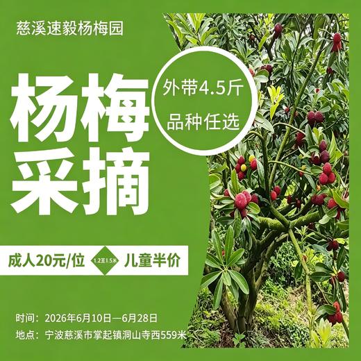 【浙团】浙江杨梅采摘+自提 商品图0