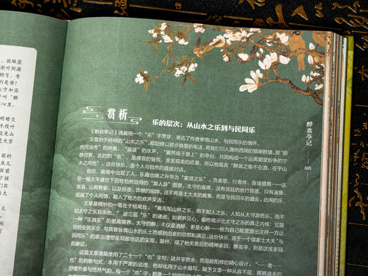 《古文观止》(精装典藏版 全2册)看尽5000年文坛至高杰作，受益终生的智慧 全本全注全译|800+幅国风插图 商品图7