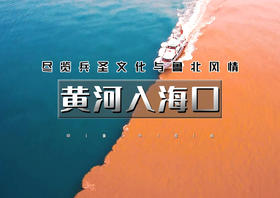 端午2.5天｜黄河入海口｜赏黄河口奇观『鸳鸯锅』-孤东海堤-黄河楼-魏氏庄园
