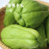 云南佛手瓜 | 农户自种现摘现发 果形饱满 色泽翠绿 脆嫩多汁 煎炖焖煮炒皆宜 商品缩略图9