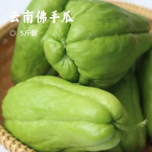 云南佛手瓜 | 农户自种现摘现发 果形饱满 色泽翠绿 脆嫩多汁 煎炖焖煮炒皆宜 商品图9