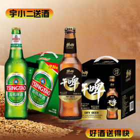 【啤酒】青岛瓶装8°P500ml*6+樊大师干啤460ml*6
