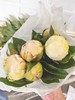 艾尔萨斯芍药5支 商品缩略图13