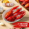 【深水小龙虾】华大优选 BAP认证2026当季鲜虾6-8钱小龙虾加热即食熟食大号虾(蒜蓉味/麻辣味) 商品缩略图3