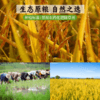 七珍谷物粉220g 内含9-10小包（以称重重量为准）（大米、糙米、小米、红米、麦麸、红枣、黑芝麻） 商品缩略图3