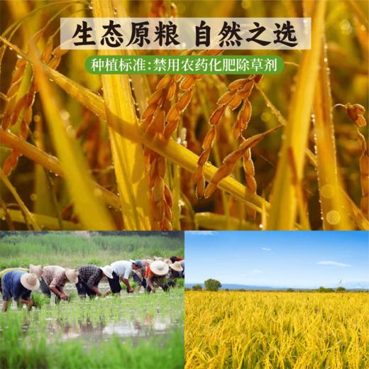 七珍谷物粉220g 内含9-10小包（以称重重量为准）（大米、糙米、小米、红米、麦麸、红枣、黑芝麻） 商品图3