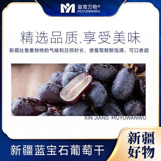 【自然风干 肉厚饱满】新疆蓝宝石葡萄干 黑美人金手指自然提子干500g*2袋 商品图2