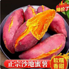 【YMHR】蜜薯  甜糯无丝 商品缩略图2