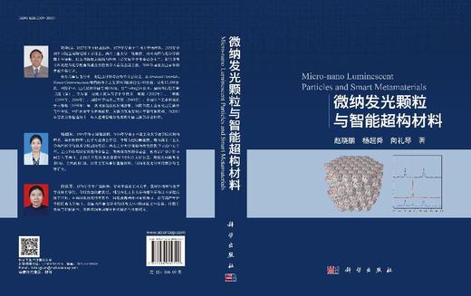 微纳发光颗粒与智能超构材料 商品图3