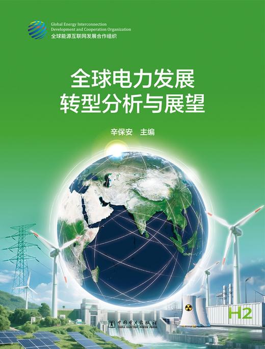 全球电力发展转型分析与展望 商品图1