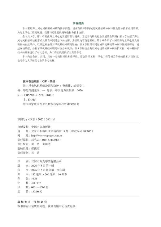 海上风电风机基础冲刷与防护 商品图3