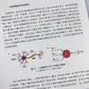 人工智能与疾病诊治 9787030808752 商品缩略图4