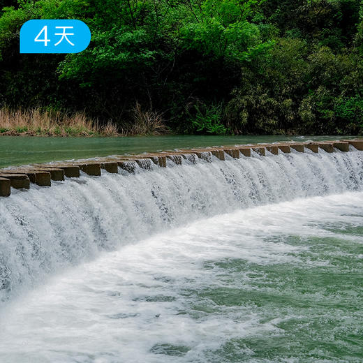 富春山居徒2.0 | 沿江漫行24公里入画 人文讲师随行  16人精品小团 4日 商品图6