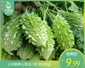【叼鲜蔬】山东新鲜山苦瓜/1份（约200g）