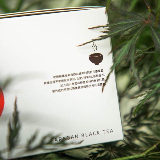 阿柑袋泡红茶 高山野放老川茶原种  原叶入袋  生态柑皮入茶 商品图3