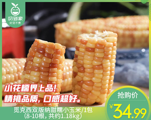 觅克西双版纳甜糯小玉米/1包（8-10根 共约1.18kg） 商品图0
