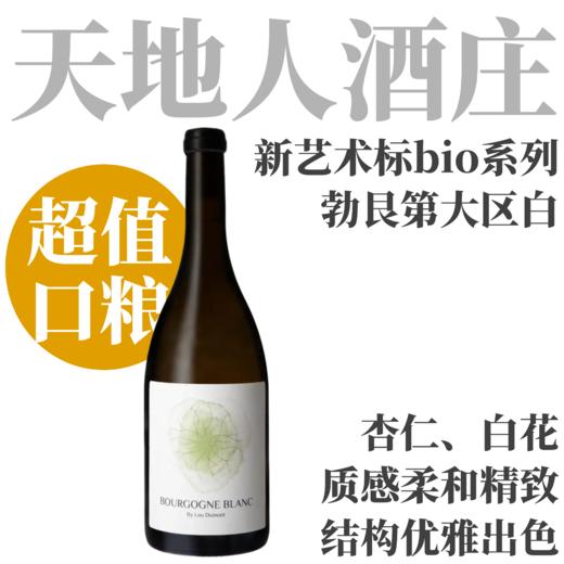 【艺术标·天地人亲民口粮勃艮第大区白】  2023 天地人勃艮第干白  Lou Dumont Bourgogne Blanc Bio 商品图0