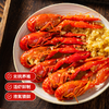 【深水小龙虾】华大优选 BAP认证2026当季鲜虾6-8钱小龙虾加热即食熟食大号虾(蒜蓉味/麻辣味) 商品缩略图4