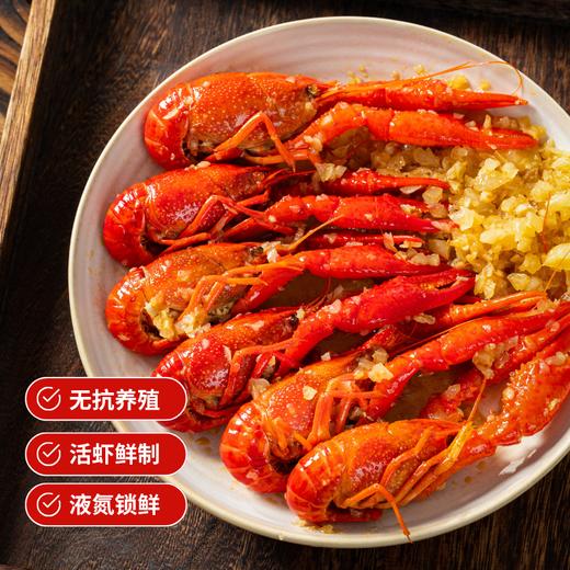 【深水小龙虾】华大优选 BAP认证2026当季鲜虾6-8钱小龙虾加热即食熟食大号虾(蒜蓉味/麻辣味) 商品图4