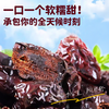 【三蒸三晒枣】300g独立包装选用山西太谷壶瓶枣红枣 开袋即食休闲零食 商品缩略图4