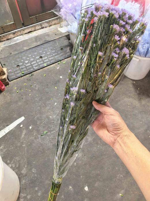 孔雀草1扎 商品图2