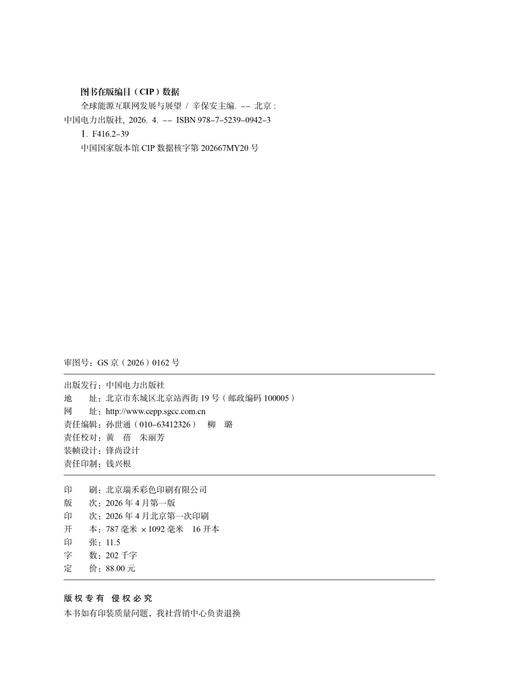 全球能源互联网发展与展望 商品图3