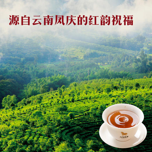 八马茶业 | 马上红系列·红茶云南滇红茶叶礼盒192g 商品图2