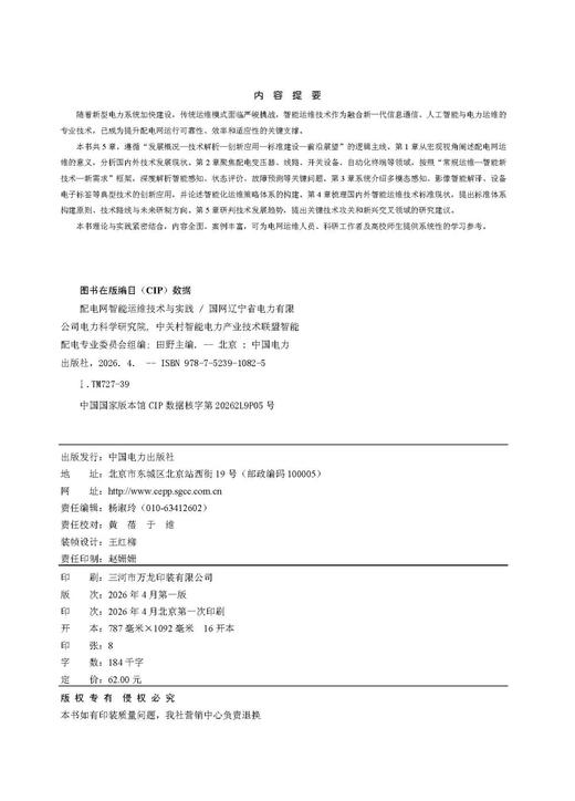 配电网智能运维技术与实践 商品图3