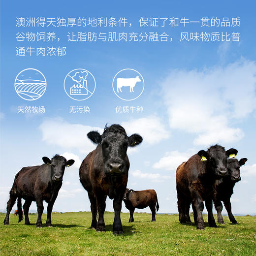 晶牧和牛礼盒998型 商品图4
